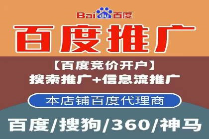 SEO与SEM优化案例：打造行业领先品牌